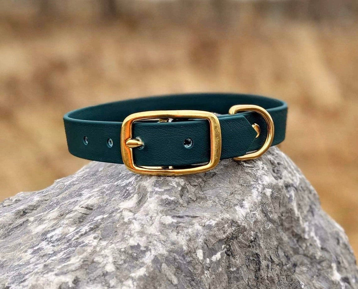 image of Dog Collar