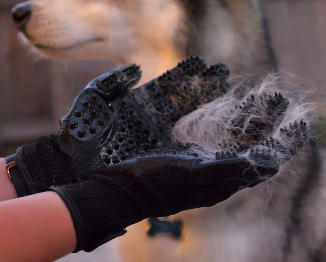 image of Grooming Gloves